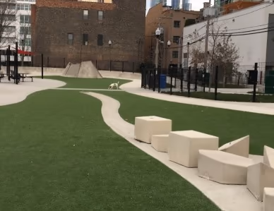 Larrabee Dog Park